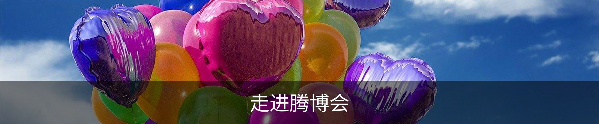 走进腾博会